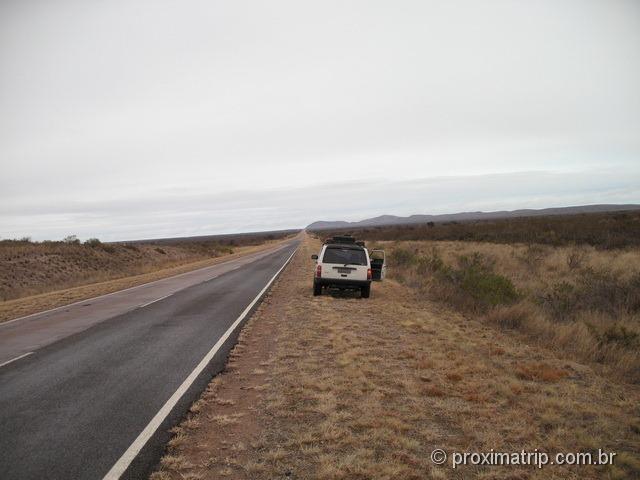 paisagem de gamíneas em estrada argentina